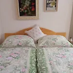 Apartament Fanlor *