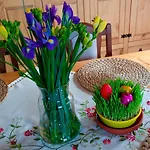 Fanlor Apartament Zubcicka Lhotka