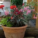 Fanlor Apartament