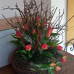 Fanlor Zubcicka Lhotka